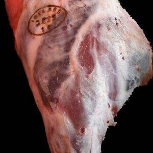 Gallagher's Leg of Lamb on the Bone